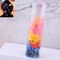 Set di elastici per capelli colorati in barattolo trasparente per bambine - Serie a Colori Vivaci (015063033)