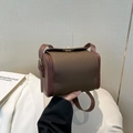 Borsa a scatola vintage in pelle marrone scuro con grana litchi e chiusura dorata - Marrone