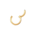 Gold F136 titanium hinged segment ring with white cubic zirconia pave for nose and ear - 8mm / Gold