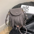 Detail of dark grey suede crossbody bag featuring long fringe and gold hardware accents - Gray
