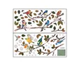 Maattabel voor raamstickers met kleurrijke vogels en takken, set van twee vellen 27x60cm - 27*60cm*2 Vellen