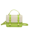 Piccola borsa a tracolla intrecciata verde e crema in pelle sintetica con dettagli dorati - Verde