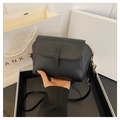 Minimalist black lychee texture crossbody bag with elegant gold hardware details - Black