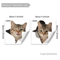 Dimensions détaillées des stickers muraux chat 3D avec spécifications de 30x30cm - Motif Tête de Chat Réaliste (B20092)