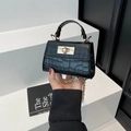 Mini borsa quadrata nera a rilievo coccodrillo con tracolla a catena dorata e fibbia - Nero