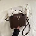 Dark brown pebbled leather bucket bag with gold V-shaped buckle and top handle - Brown