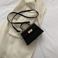 Classic black leather crossbody bag with golden twist lock on a neutral blazer - Black