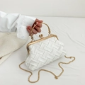 Sac à main blanc tressé rétro avec poignée en métal doré et bandoulière chaîne - Blanc