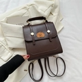 Mini zaino vintage in pelle PU marrone scuro con ricamo a cane e fibbia dorata magnetica - Marrone