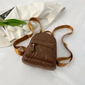 Brauner Mini-Rucksack mit Wellensteppung und verstellbaren goldenen Trägern - Braun