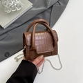 Deep coffee crocodile texture mini handbag with silver chain strap for chic styling - Brown