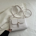 Bolso cuadrado chic de cuero tejido beige con solapa y hebilla dorada elegante - Blanco