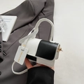 Chic bolso de mano pequeño cuadrado en blanco y negro con cierre metálico dorado - Negro