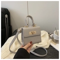 Dettaglio mini borsa grigia motivo coccodrillo con chiusura dorata e manico in pelle - Cachi