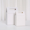 Minimalist white cardboard gift boxes with handles for premium party favors packaging - White