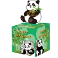 Panda themed birthday money pull box with cute bamboo and panda illustration - Panda Birthday Theme (Green Panda Money Pulling Box)
