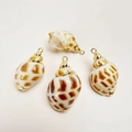 Detailed view of four natural shell pendants with elegant gold plated metal edges - Spotted Babylon Conch