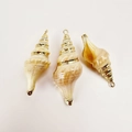 Detailed close-up of natural shell pendants with elegant gold plated edges for DIY jewelry - Double Point Conch