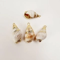 Detail of natural conch shell pendants with gold plated edges for DIY jewelry making - White Brown Pattern Conch