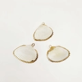Macro shot of three natural white shell pendants with elegant gold plated metal edges - Arctic Shell