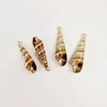 Detailed macro of natural conch shell charms with gold plated spiral bands and rings - Small Tiramisu Shell