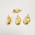 Macro shot of 4 natural conch shell pendants with gold plated edges for DIY jewelry - Small Golden Conch