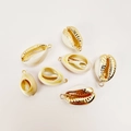 Close-up of seven natural cowrie shell pendants with gold electroplated edges for DIY jewelry - White Melon Seed