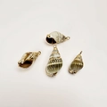 Detail of four natural striped seashells with gold electroplated edges for DIY jewelry - Ink Pattern Conch