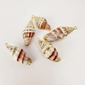 Macro detail of natural spiral shell pendants with gold plated edges and metal loops - Silk Road Amber Conch