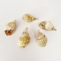 Detailed macro view of 5 natural seashell pendants with golden electroplated metal edges - Cappuccino
