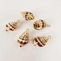 Detailed view of five natural spiral conch shell pendants with gold plated edges for DIY jewelry - Gilded Coffee Conch