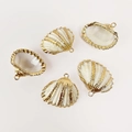 Macro detail of natural white shells with gold-plated edges and DIY jewelry hanging loops - Golden Claw White Shell
