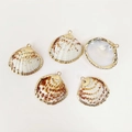 Detailed set of five natural shell pendants with gold plated edges for DIY jewelry making - Amber Ripple Shell