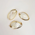 Three natural abalone shell pendants with elegant gold plated edges for DIY jewelry - Pearl Abalone