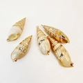 Set of five natural cone shell pendants with gold plated stripes and edges for DIY jewelry - Bullet Conch