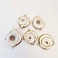 Set of five natural Shiva eye shell pendants with elegant gold plated spiral edges - Sliced Tail Conch