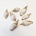 Natural conch shell pendant with gold plated edges for DIY jewelry making - White Shell Conch