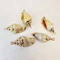 Natural conch shell pendants with gold plated edges for DIY jewelry making - Versatile Black Mouth Conch