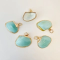 Set of 5 scallop shell pendants with gold plated edges in a mint blue finish - Azure Shell