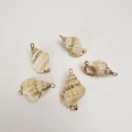 Set of five natural seashell charms with gold-plated edges for DIY jewelry making - Crocodile Skin Conch