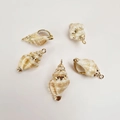 Set of 5 natural seashell pendants with gold plated edges for DIY necklace jewelry - Danxia Conch