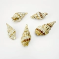 Set of five natural conch shell pendants with gold plated edges for DIY jewelry making - Bamboo Basket Conch