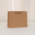 Minimalist brown kraft paper gift bag with dark brown twisted rope handles for shopping - Horizontal-Small (22x18x8cm)