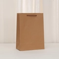 Minimalist brown kraft paper gift bag with dark brown twisted rope handles for shopping - Vertical-Medium (28x20x10cm)