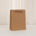Minimalist brown kraft paper gift bag with twisted handles for jewelry and fashion storage - Vertical-Small (20x15x7.5cm)