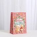 Kerst papieren cadeauzakje met peperkoekman en rood geblokt patroon en handvaten - Rood Wit Geblokt Believe in Magic Stijl (038-6)