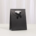 Minimalist black kraft paper gift bag with silk bow and cutout handle for party favor - 16*12*6cm / Black