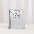 Zilvergrijze geschenkverpakking met strik en ovale handgrepen in een elegant ontwerp - 16*12*6 / Zilver