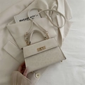 Elegante bolso de mano blanco roto con textura de leopardo y detalles dorados - Blanco