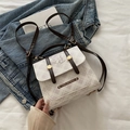 Chic beige plaid shoulder bag with brown leather straps and cute elephant design - White